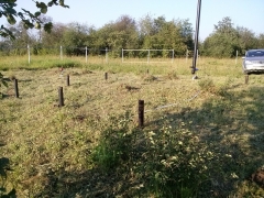 CAM00109